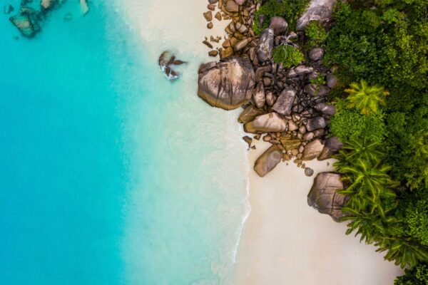 World Academy SEYCHELLES, MAURITIUS, LA REUNION (Live)