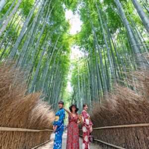World Academy GIAPPONE (Video)