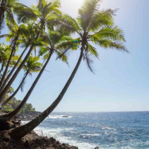 World Academy HAWAII (Video)