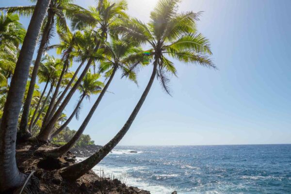 World Academy HAWAII (Video)