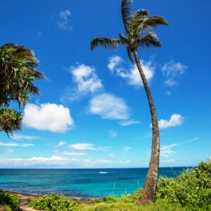 Hawaiian beach