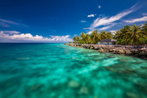 Tropical beach in Maldives with palm trees and vibrant lagoon