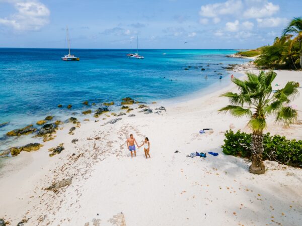 Eagle Beach Aruba, Palm Trees on the shoreline of Eagle Beach in Aruba,