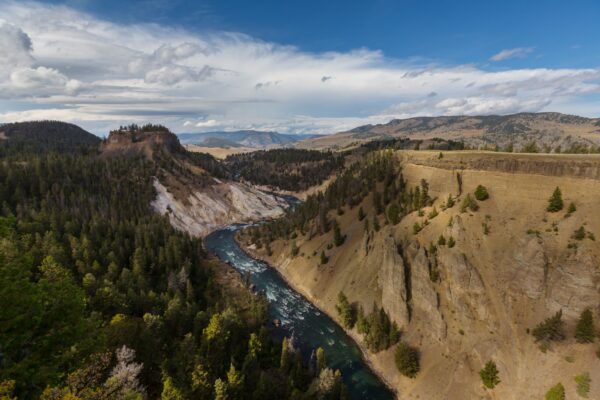 Yellowstone river