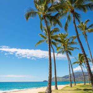 Hawaiian beach
