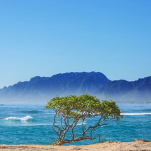 Hawaiian beach